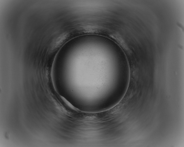 X0000097750066200803071258