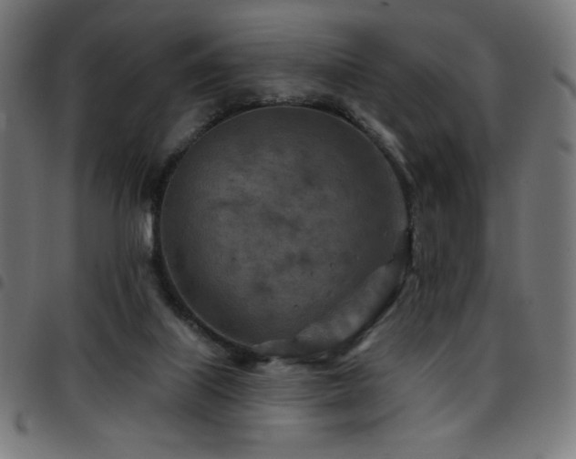 X0000097750067200803071258