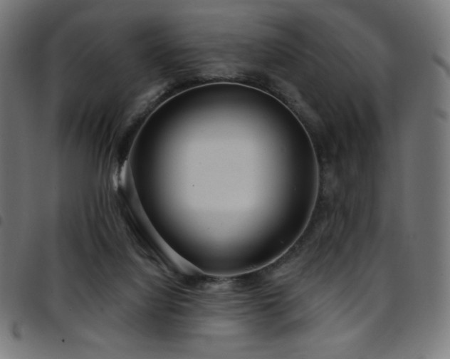 X0000097750068200803071258