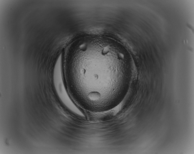 X0000097750069200803071258