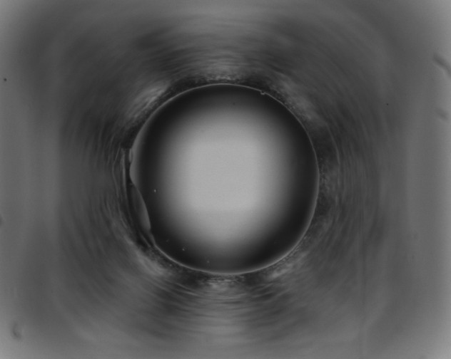 X0000097750070200803071258