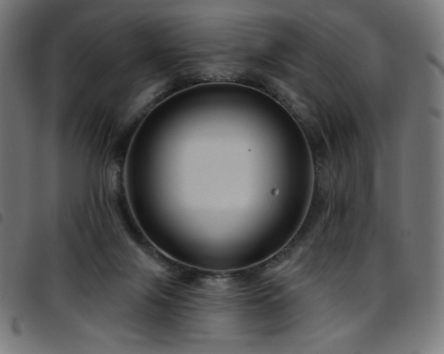 X0000097750071200803071258