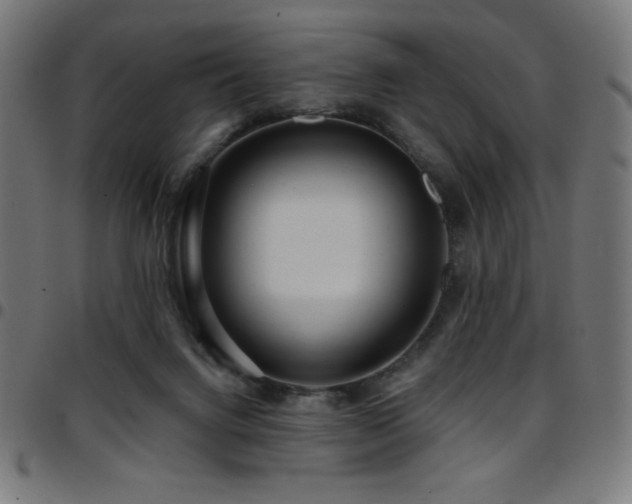 X0000097750072200803071258