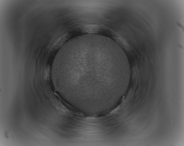 X0000097750073200803071258