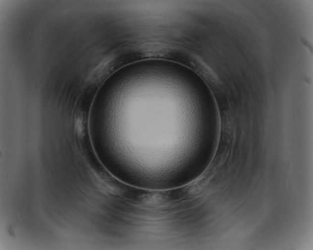 X0000097750074200803071258