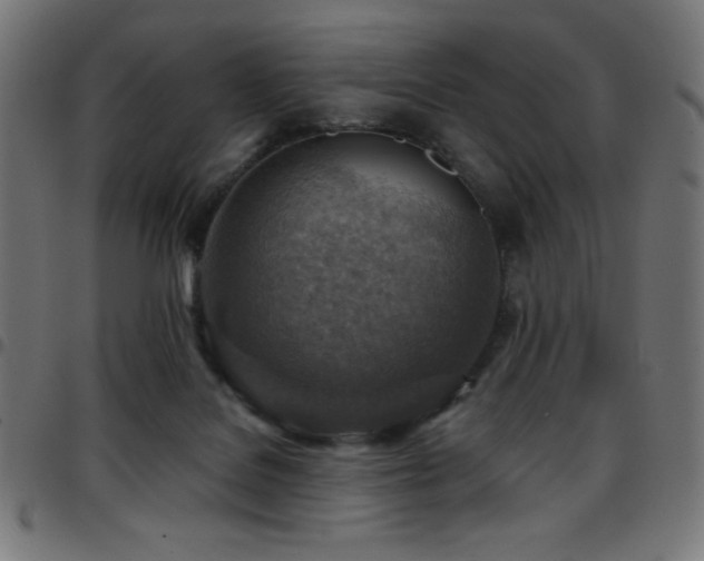 X0000097750076200803071258