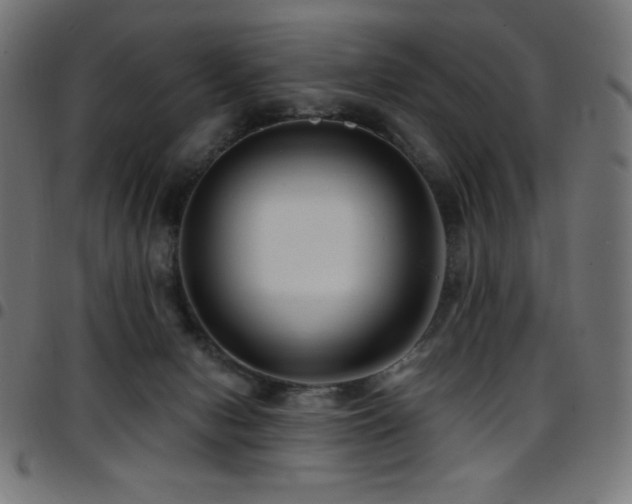 X0000097750078200803071258