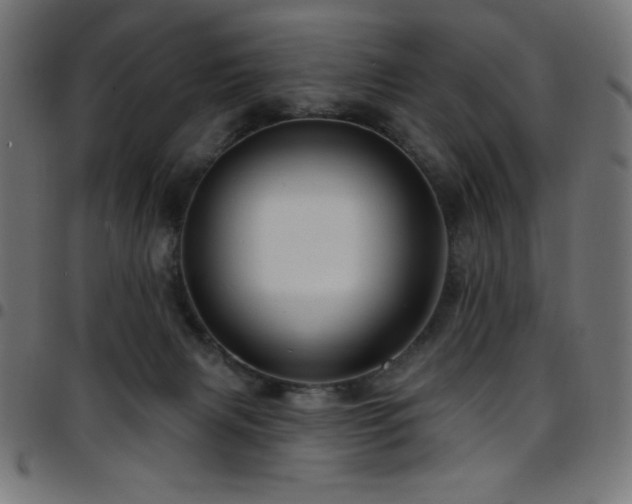 X0000097750079200803071258