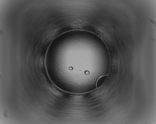 X0000097750081200803071258