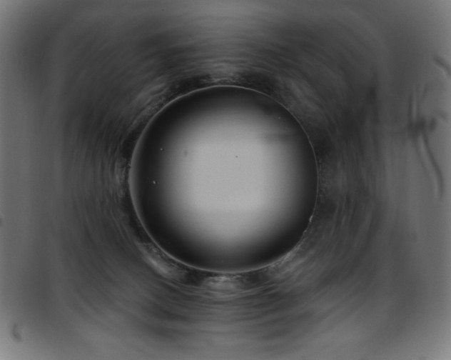 X0000097750082200803071258