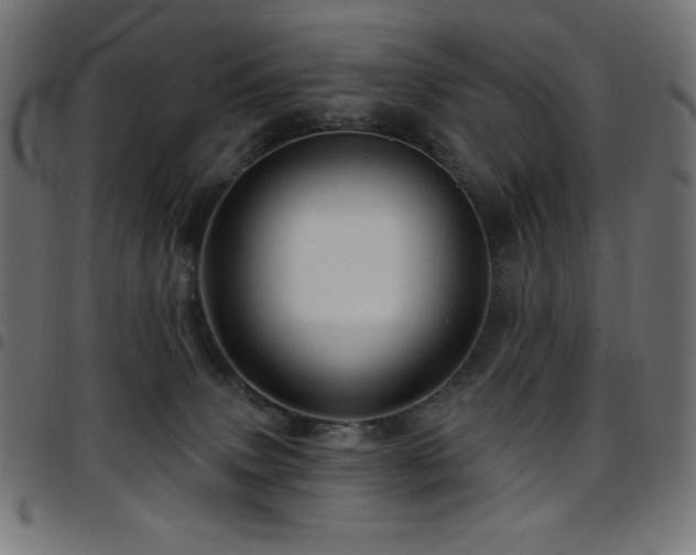 X0000097750083200803071258