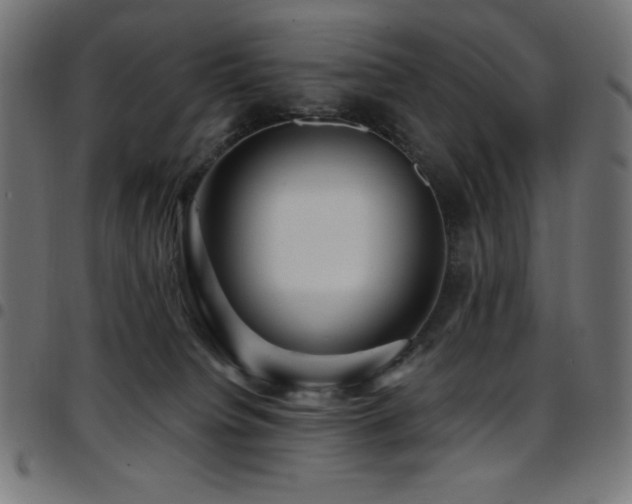 X0000097750084200803071258