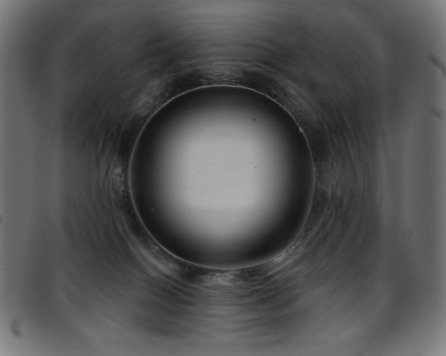 X0000097750086200803071258