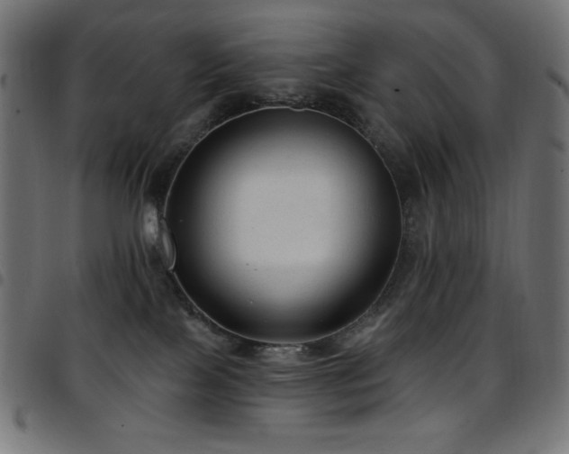 X0000097750089200803071258