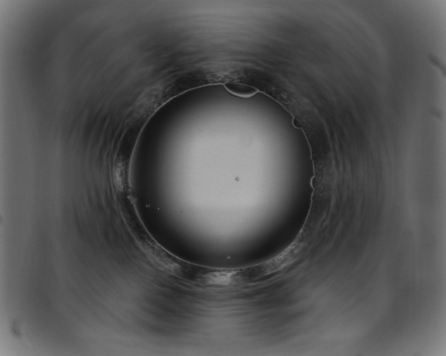 X0000097750090200803071258