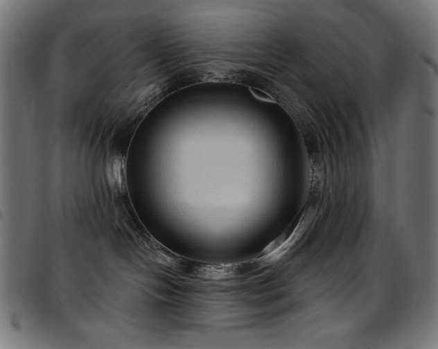 X0000097750094200803071258