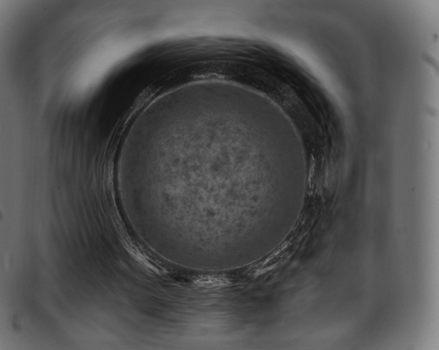 X0000097750099200803071257