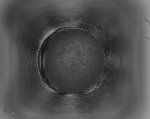 X0000097750100200803071257