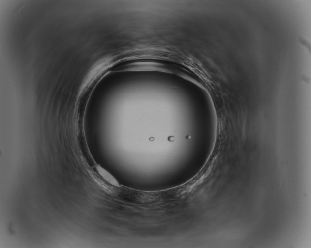 X0000097750101200803071257