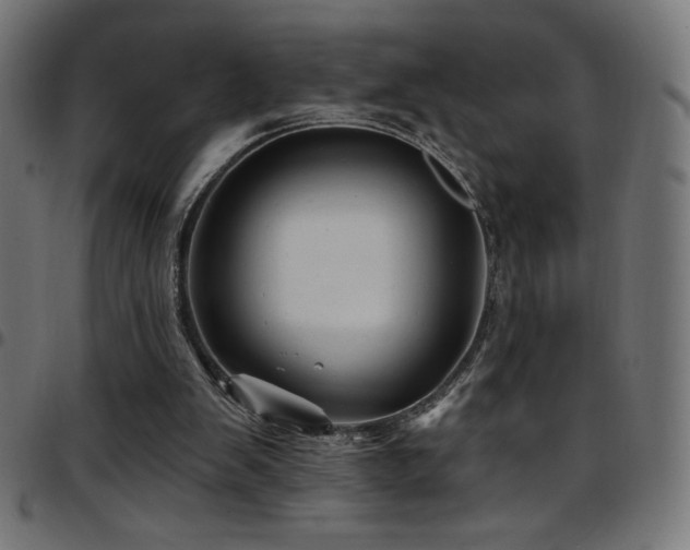 X0000097750103200803071257