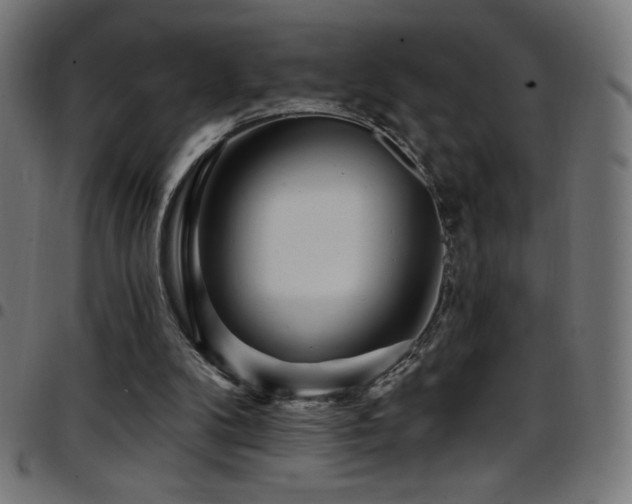 X0000097750104200803071257