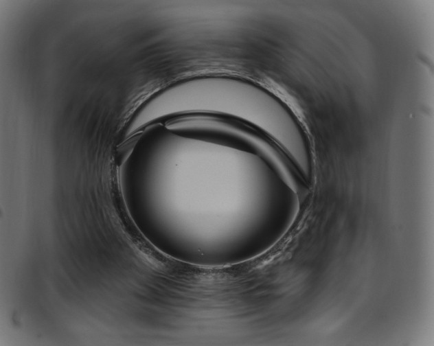 X0000097750105200803071257