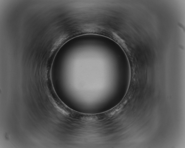 X0000097750106200803071257