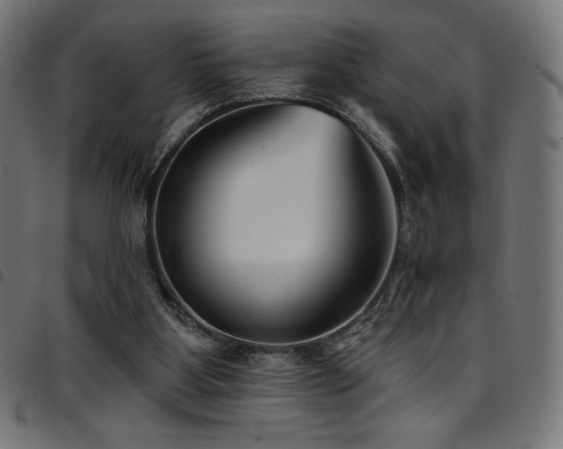 X0000097750107200803071257