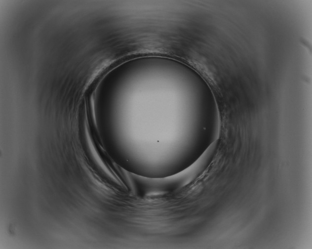 X0000097750108200803071257