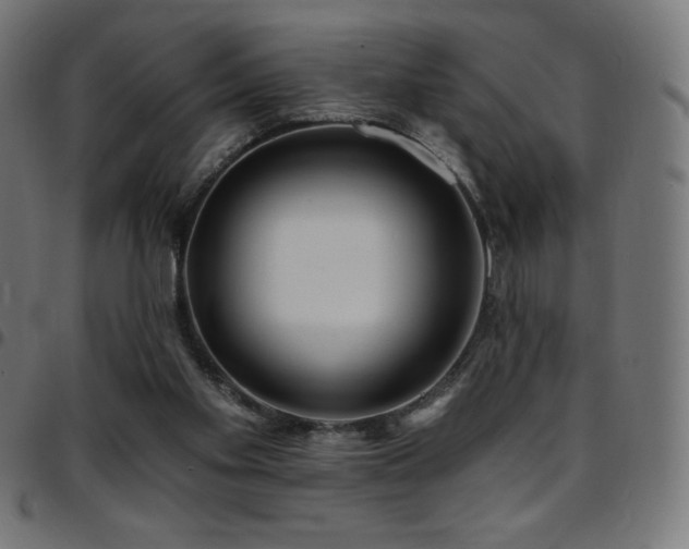 X0000097750109200803071257