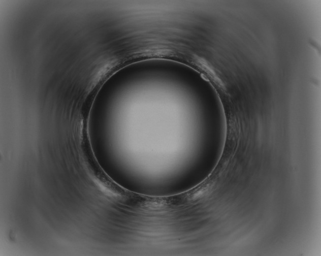 X0000097750110200803071257