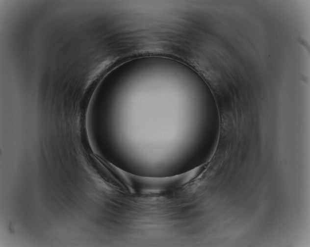 X0000097750112200803071257