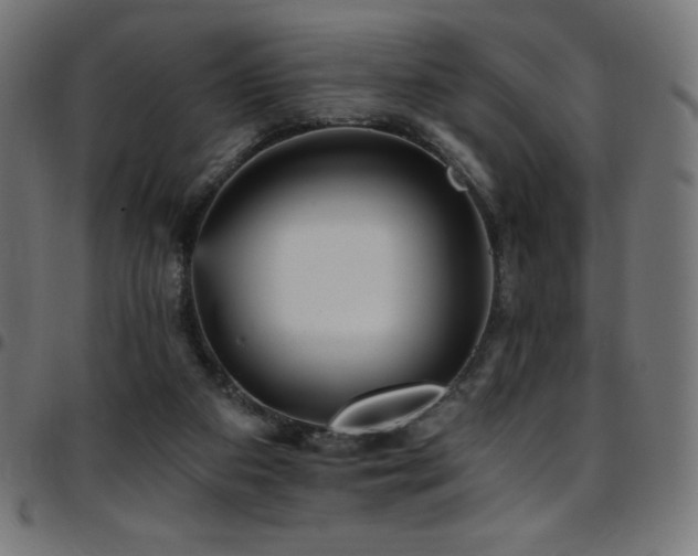 X0000097750113200803071257