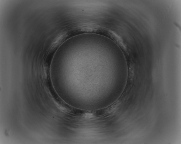 X0000097750114200803071257