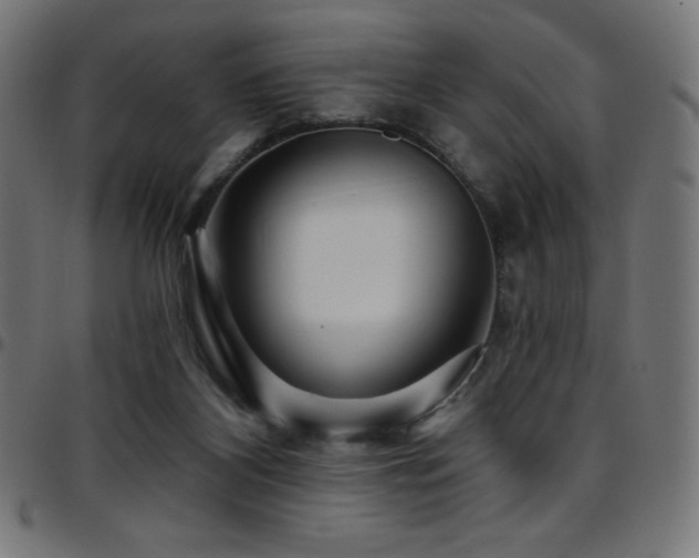 X0000097750116200803071257