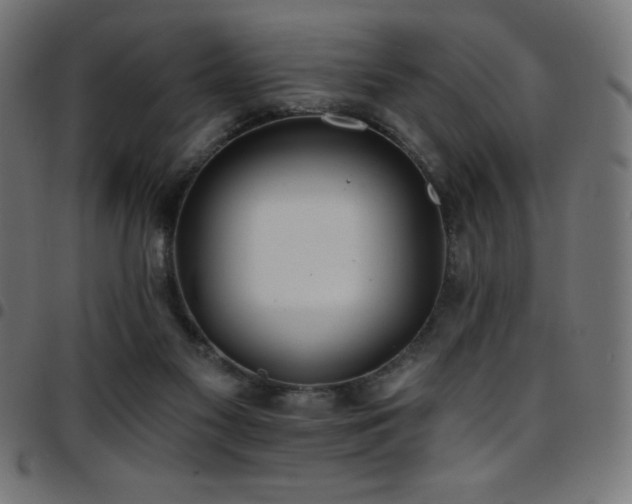 X0000097750117200803071257