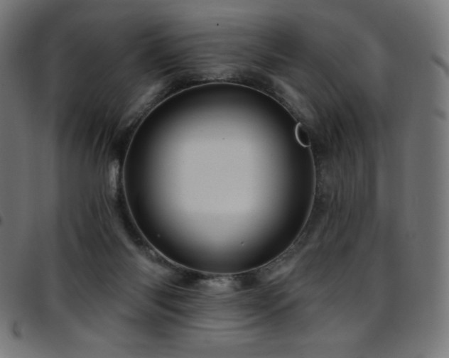 X0000097750118200803071257