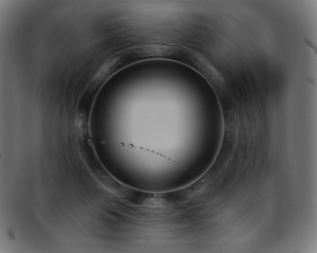 X0000097750119200803071257