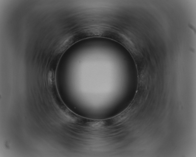 X0000097750122200803071257