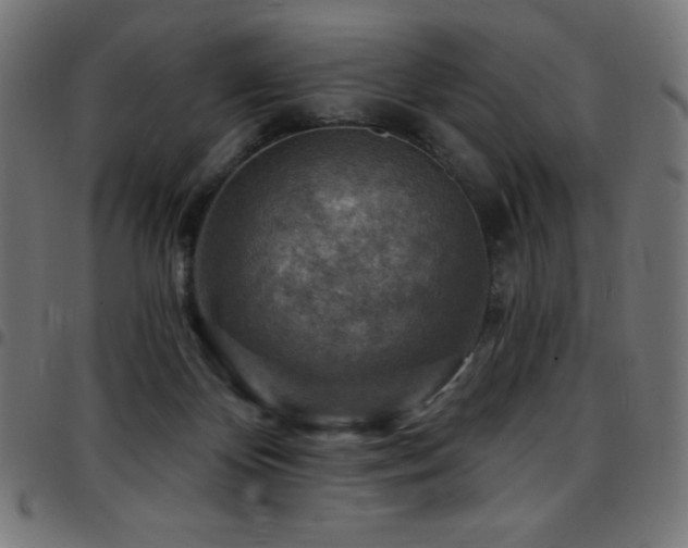 X0000097750124200803071257