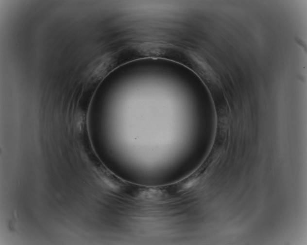 X0000097750125200803071257