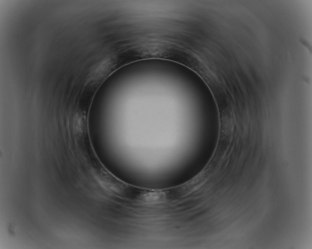 X0000097750126200803071257