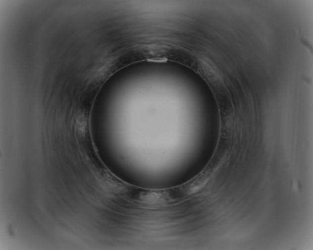 X0000097750129200803071257