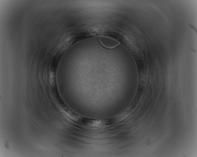 X0000097750130200803071257