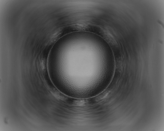 X0000097750131200803071257