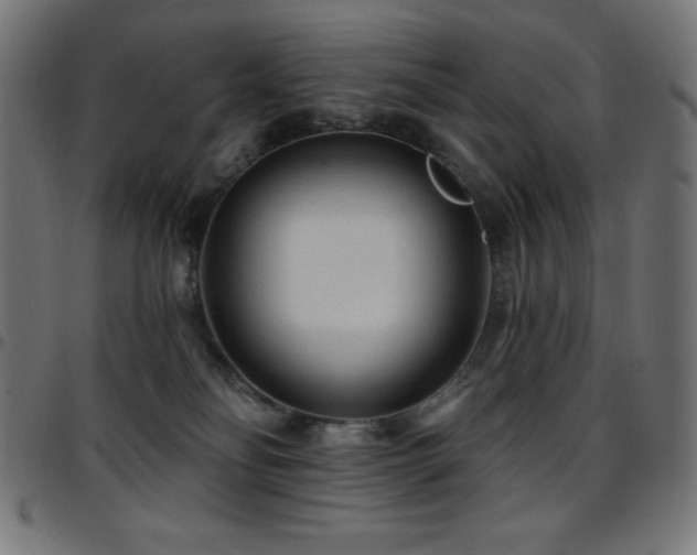 X0000097750134200803071257