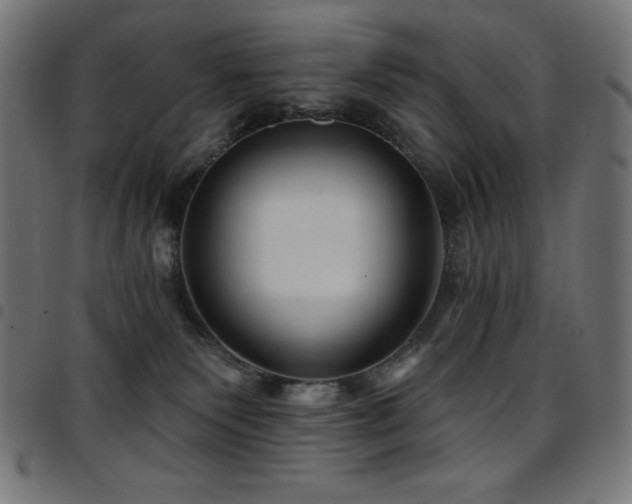 X0000097750135200803071257