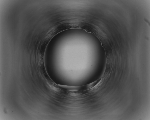 X0000097750136200803071257