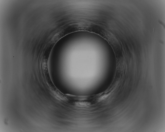 X0000097750137200803071257