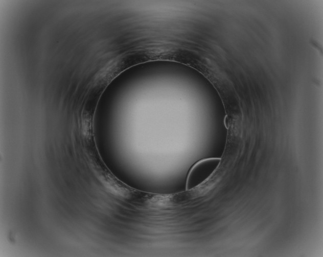 X0000097750138200803071257